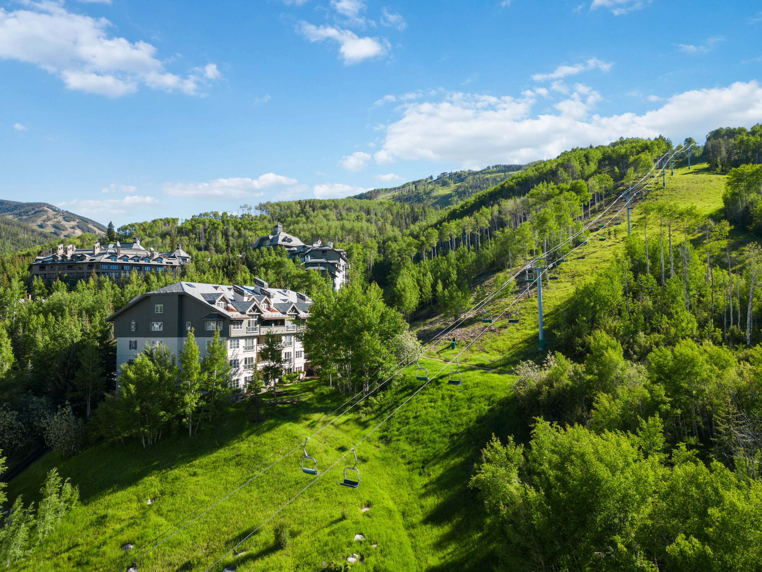 53012759172_5e04a8bf76_o