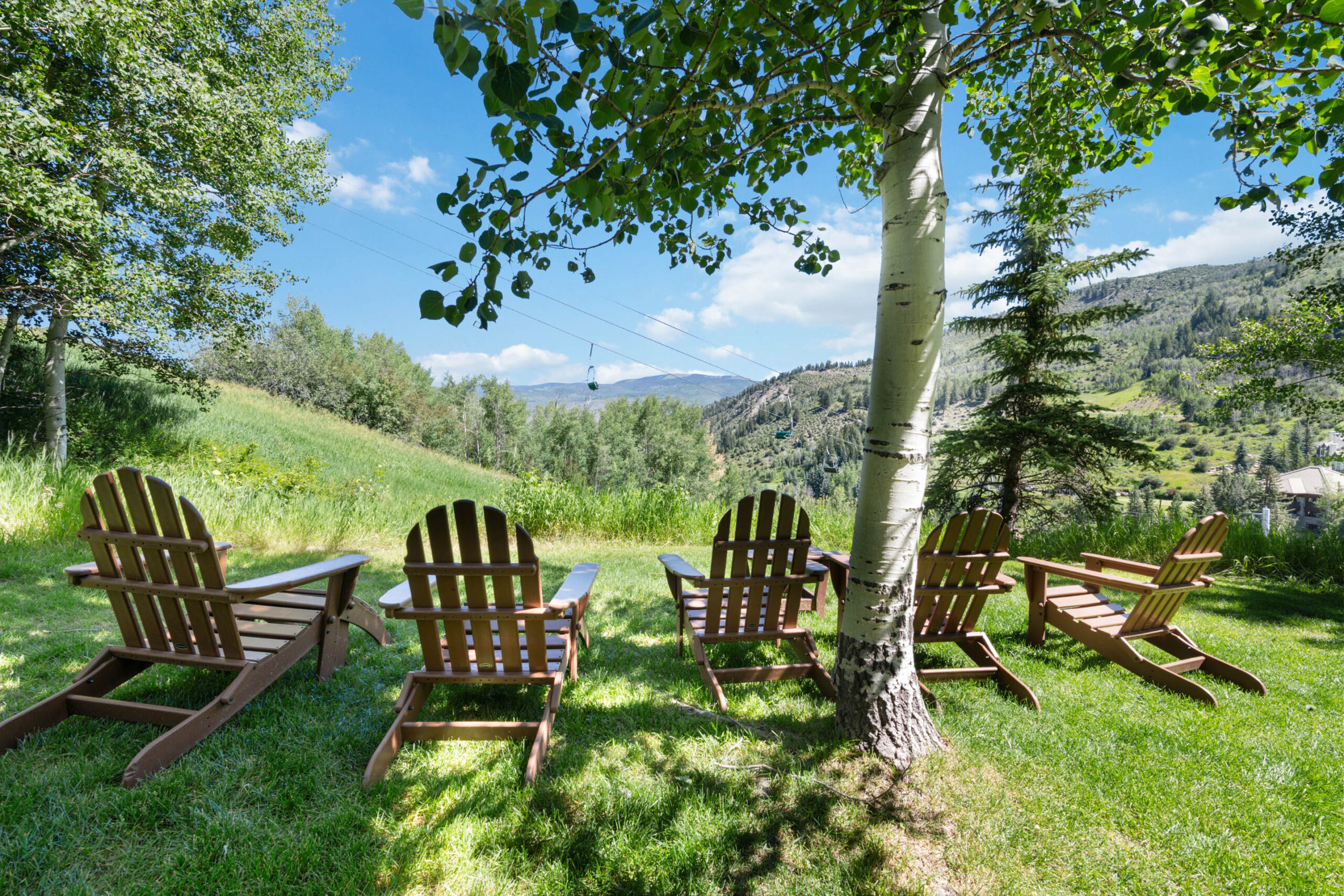 borders-upper-7519_53052395047_o